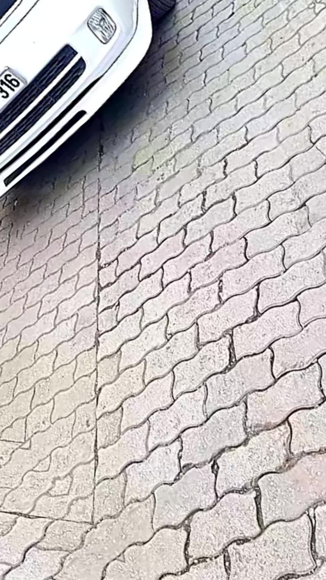 @Ahmet Başak