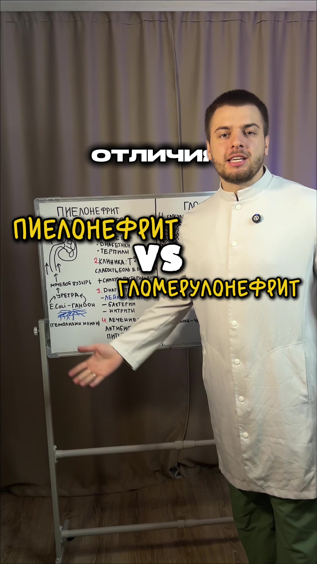 @тг: Записки юного Вовчика
