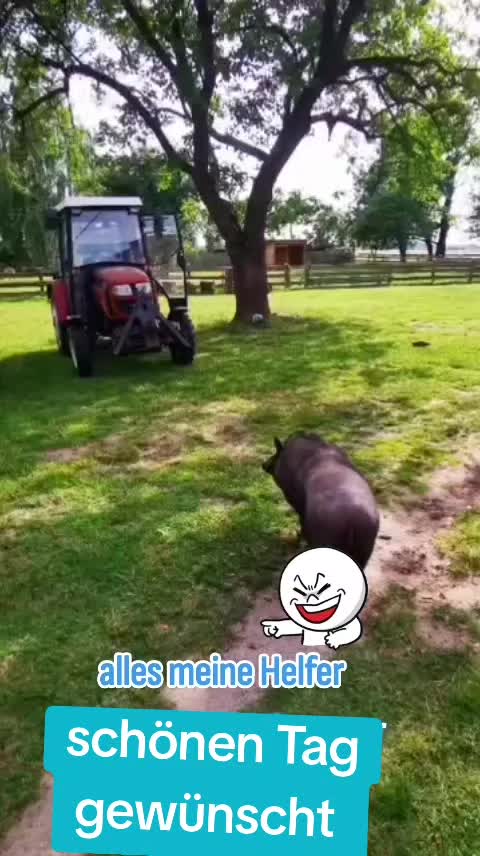 @Farm Leiter