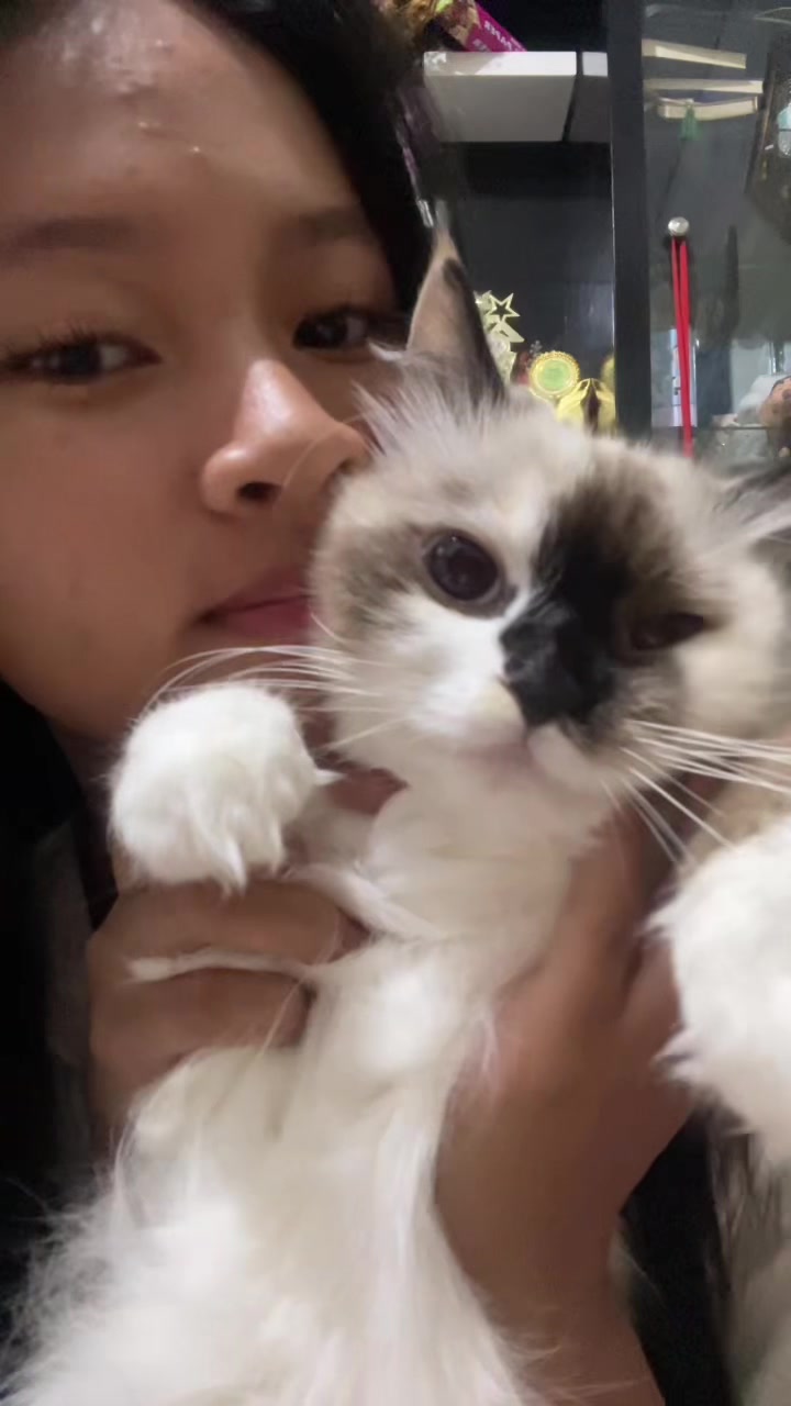 @mengg🐿️