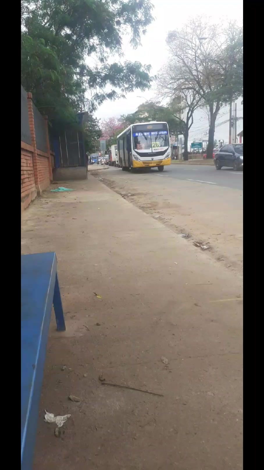 @💯PEDRITO BUSES 🔥 🇵🇾