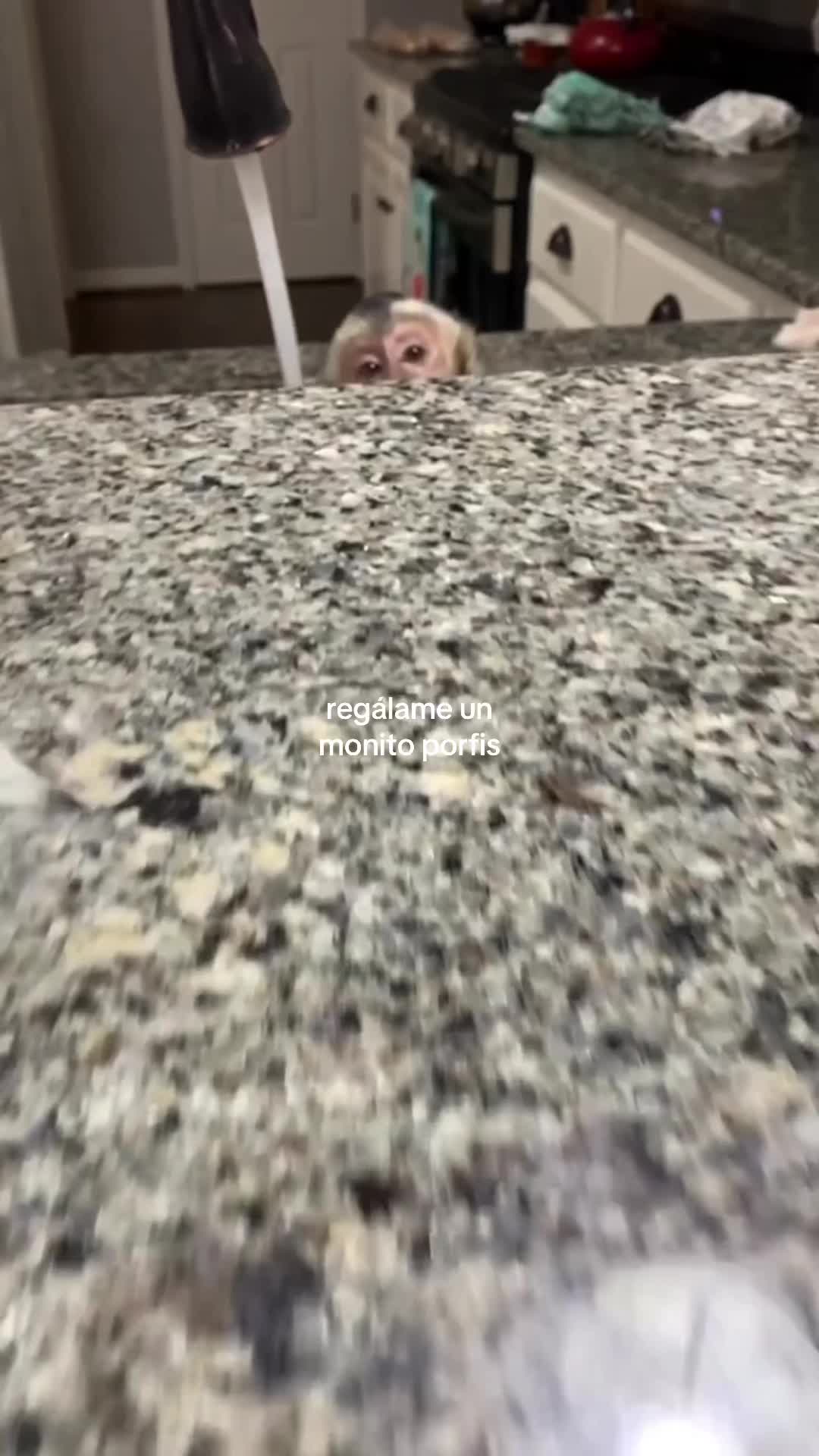 @daismined