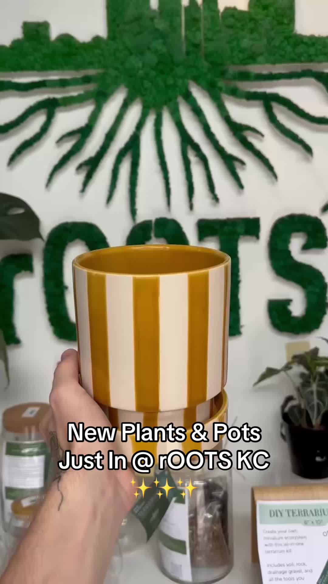 @Rootskc