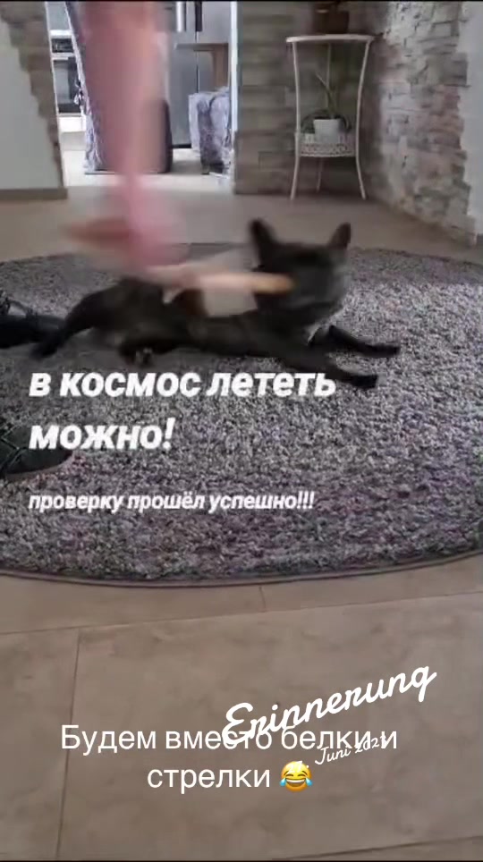 @Vitali
