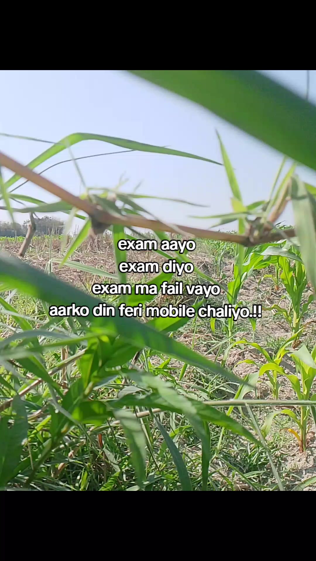 @Basu muxii 👀