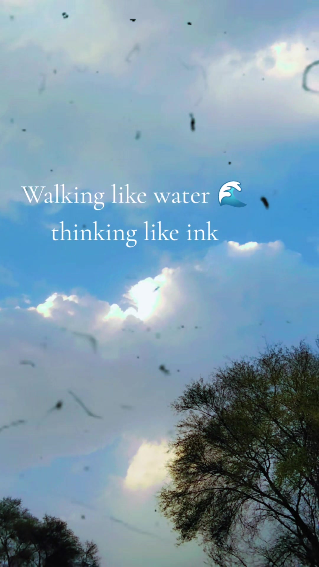 @𓍯˚⋆:ꌗ꓄ꋪꋬꋊꁃꍟꋪ 🖤