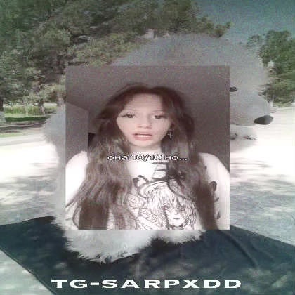@sarpxdd
