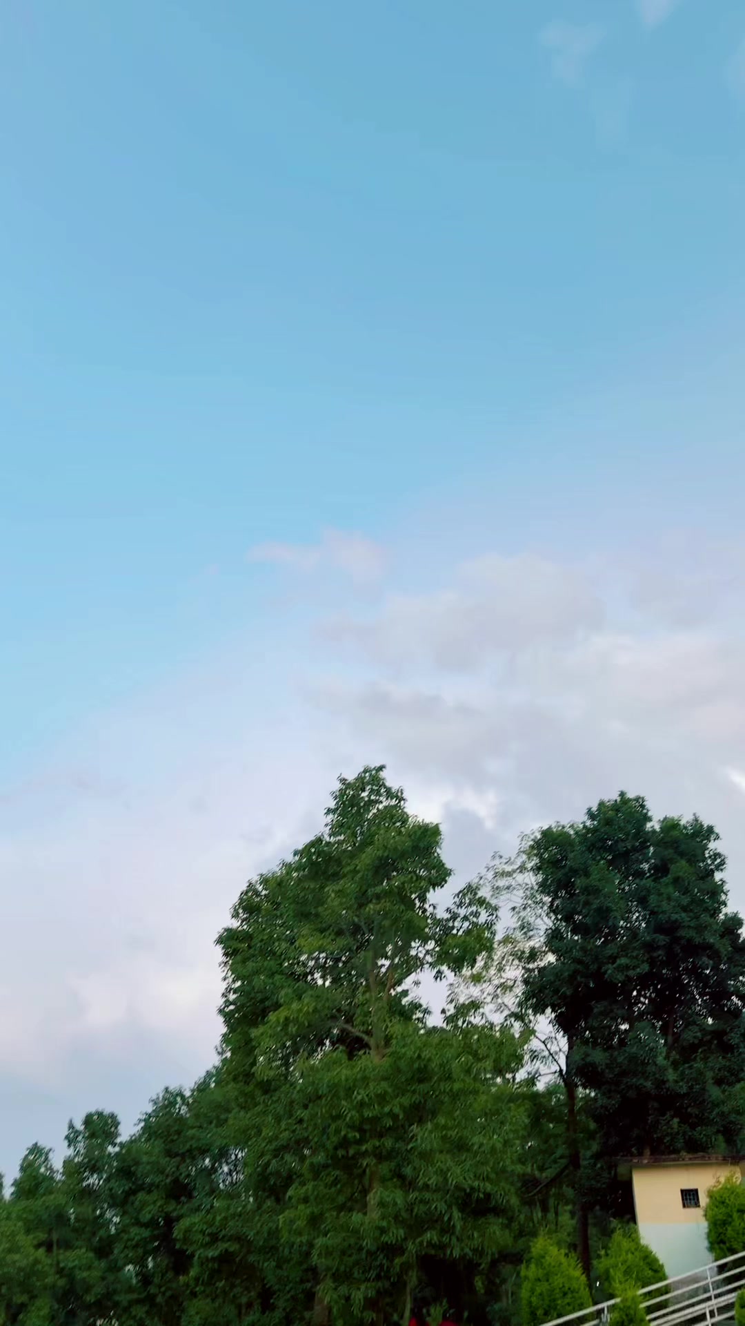 @Sangita ᥫ᭡