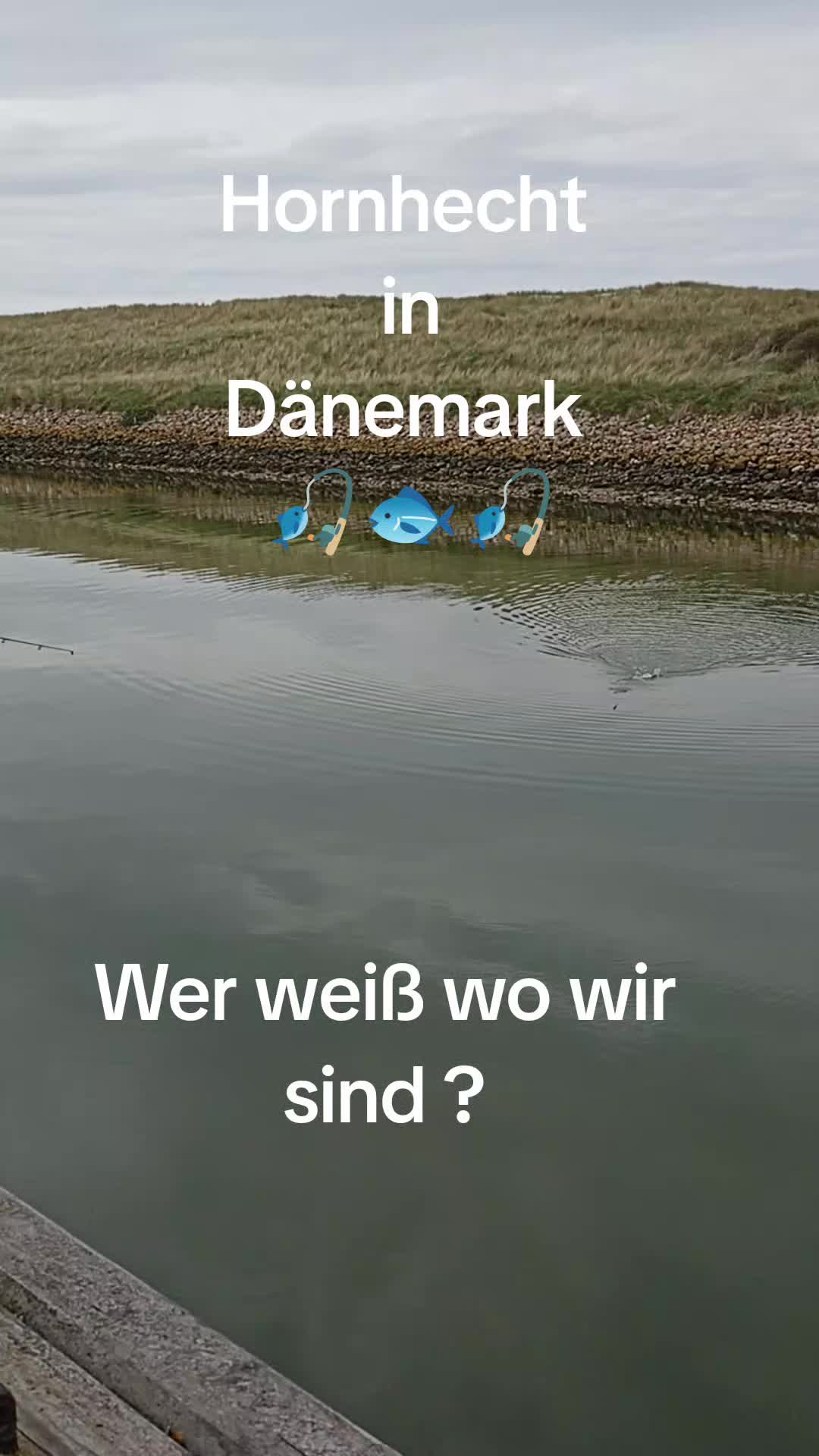 @ginaseele