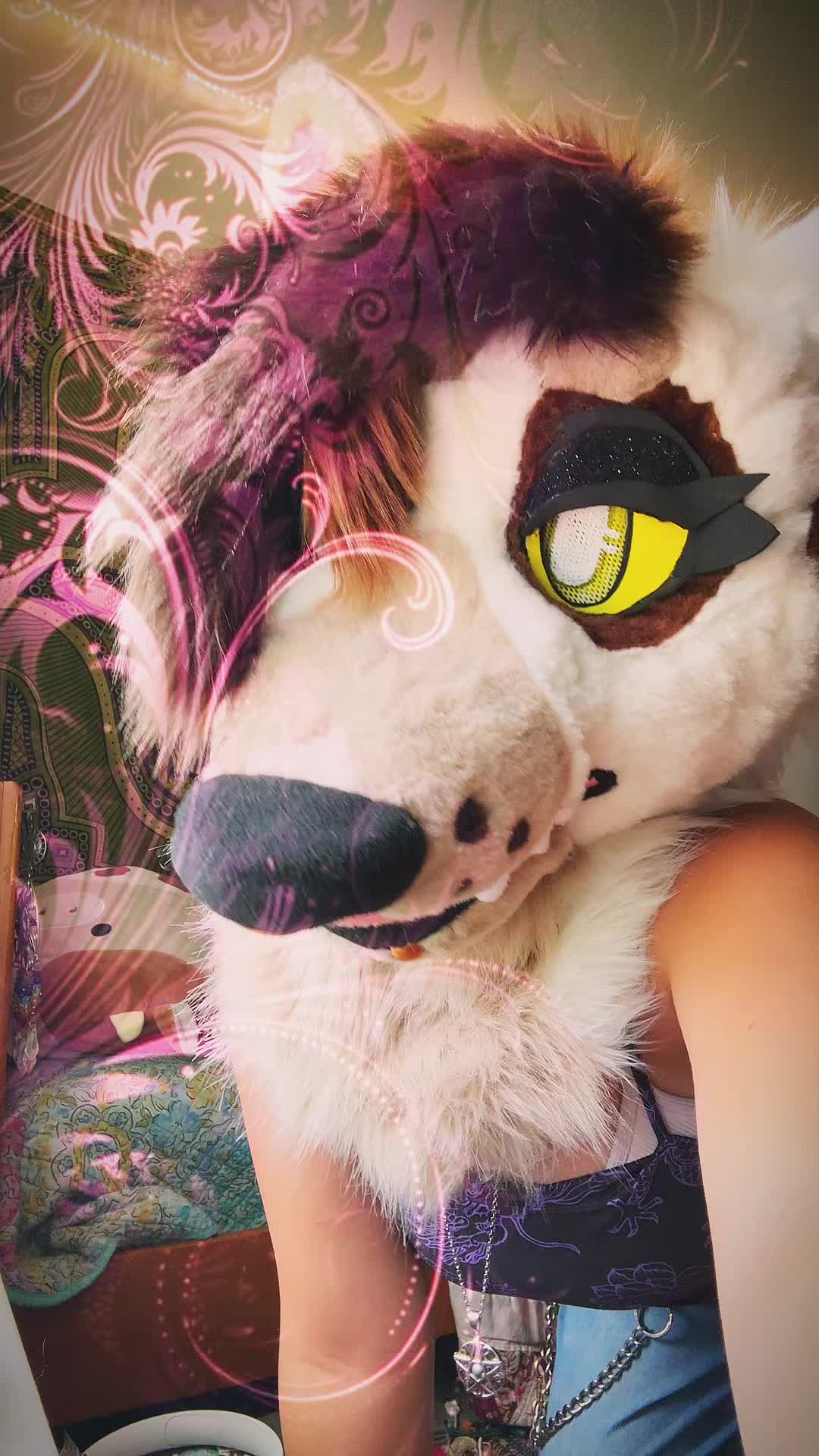 @roxy_soup