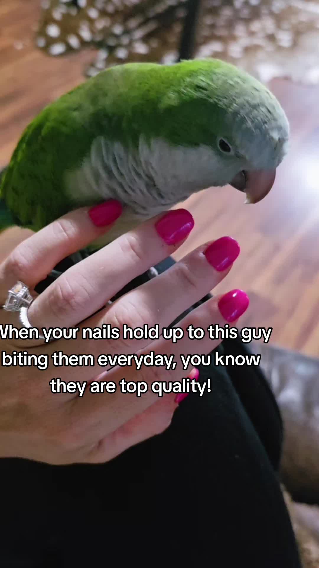 @Nicci G