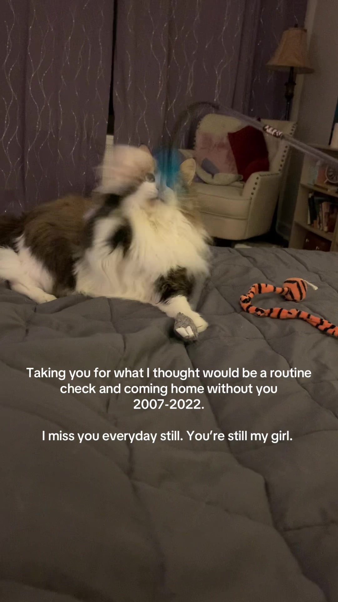 @NelRup