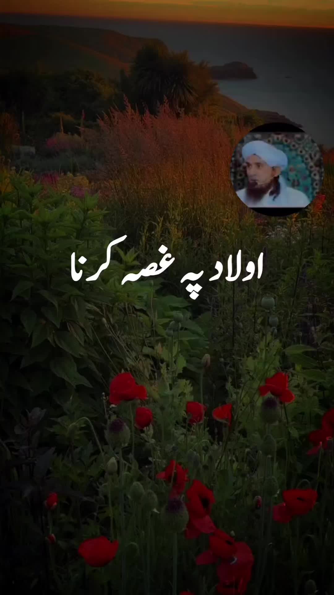 @zulfi khan