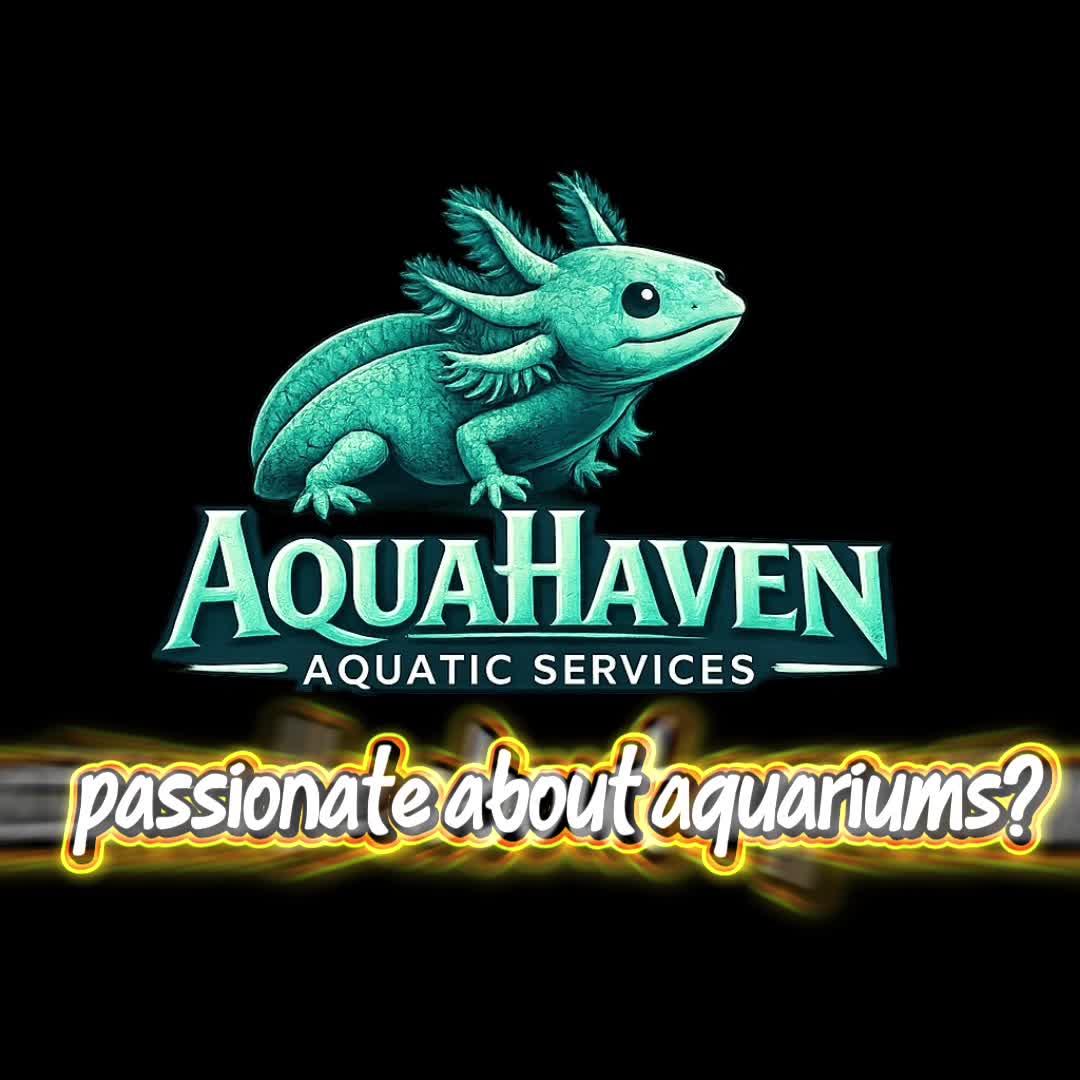@AquaHaven&trade;️🐠🌌🌊