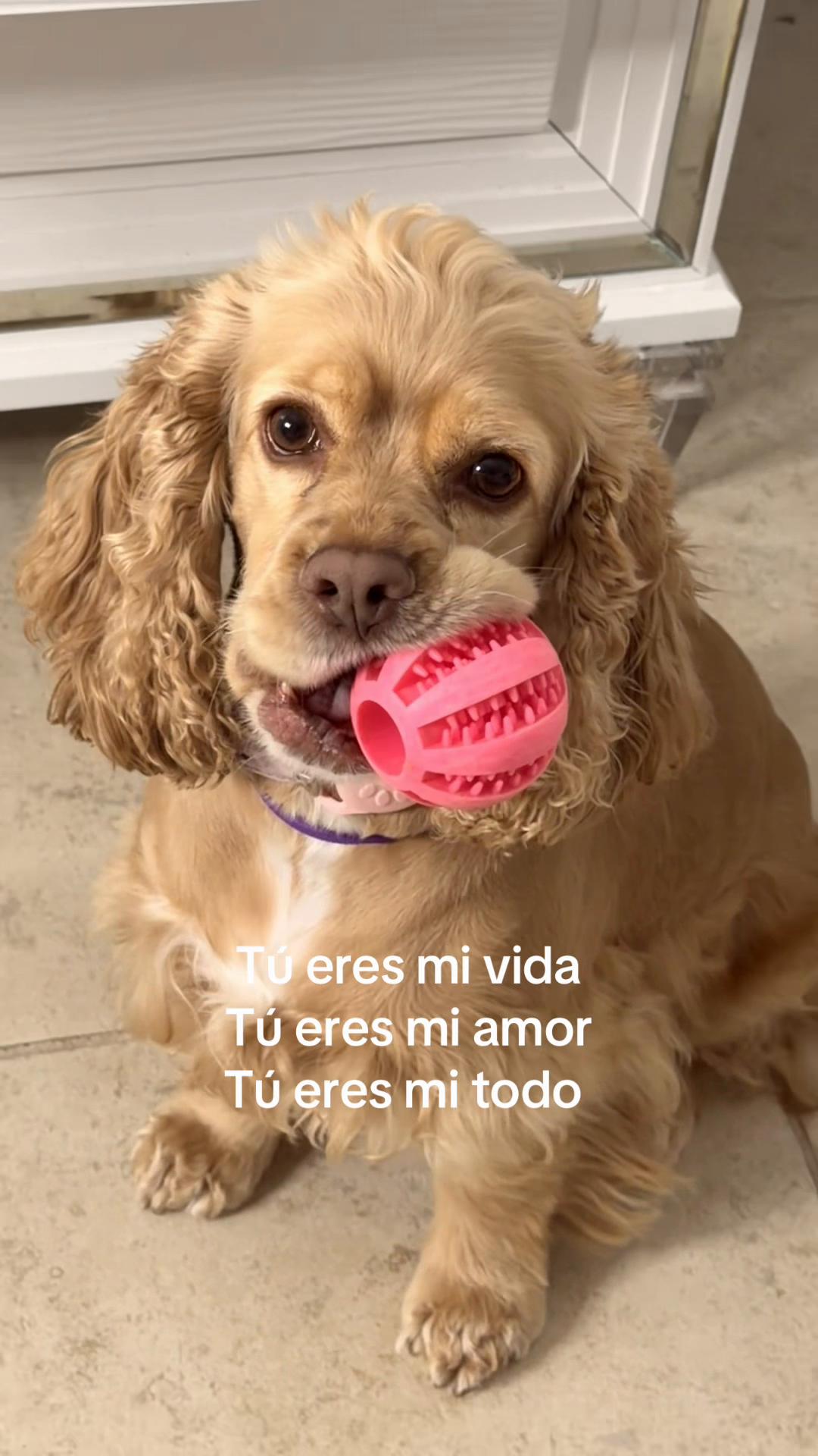 @Greymar Andreina💕
