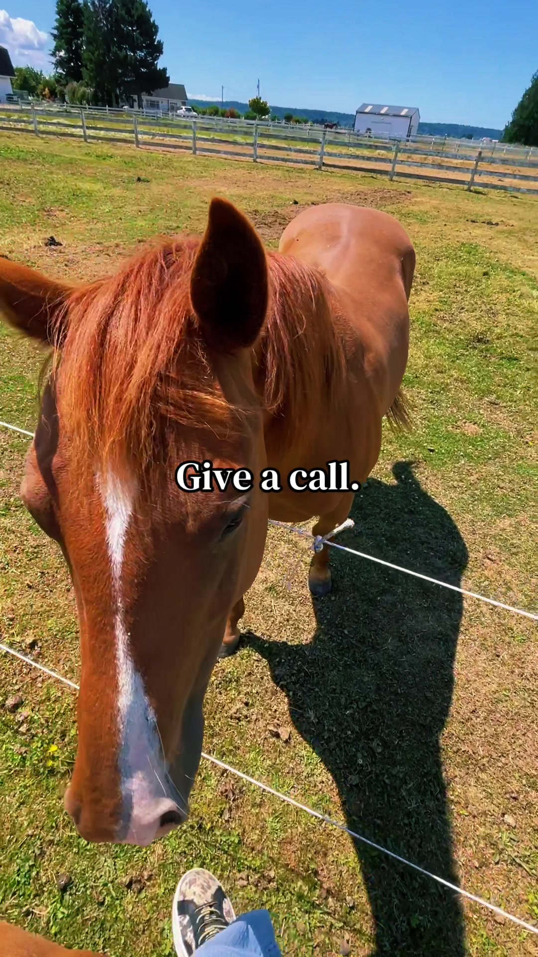 @Pony Girl