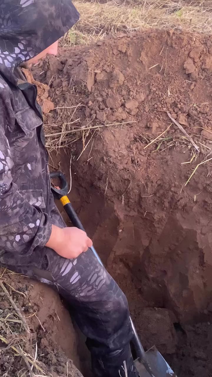@Archaeologist 11