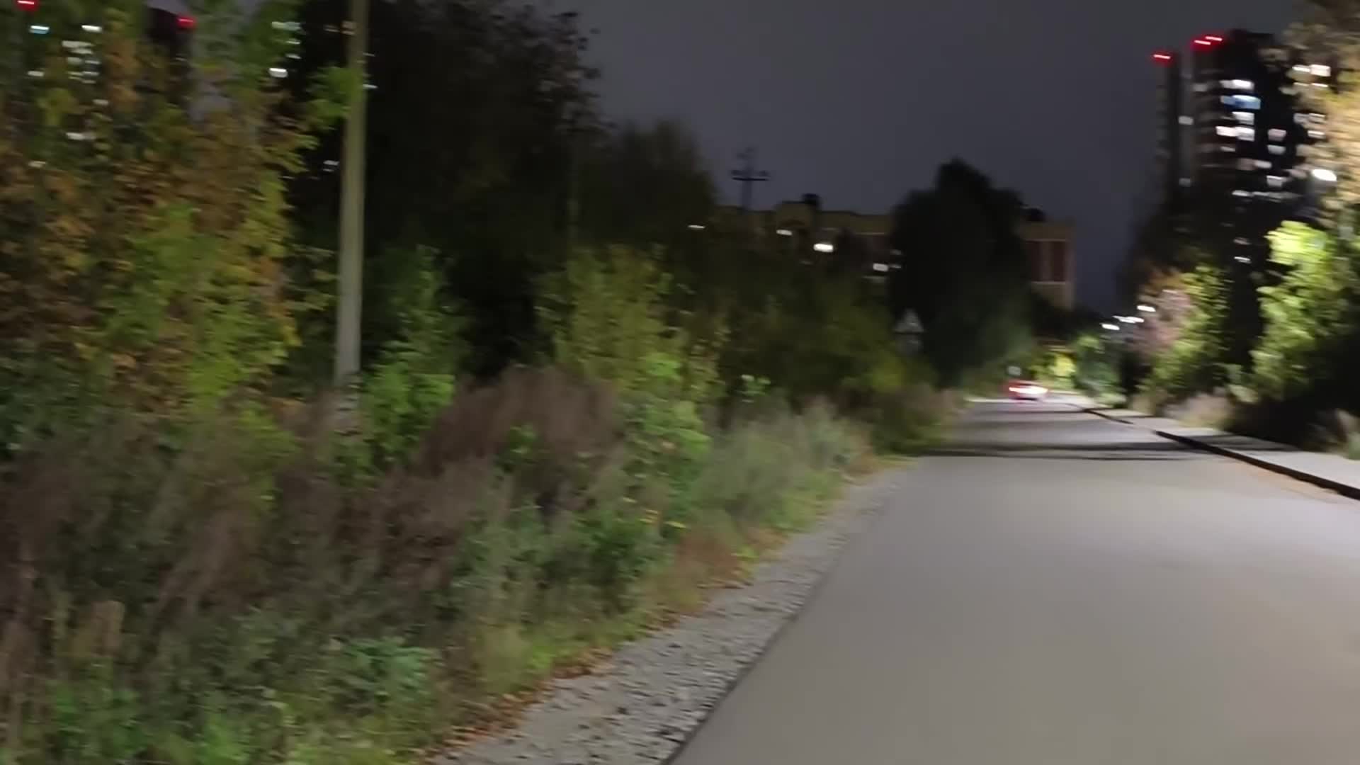 @казанский леопард