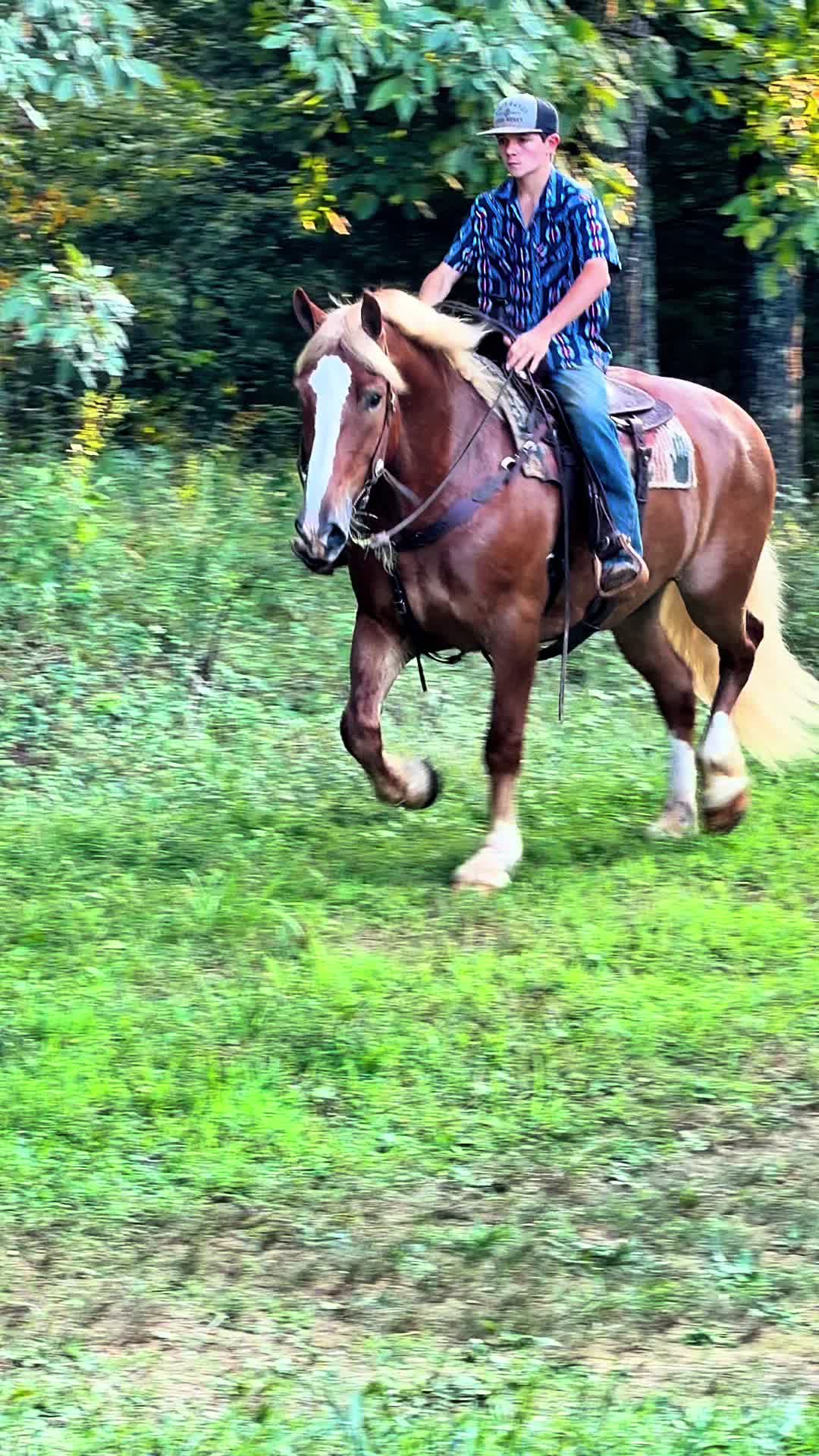@Lucky D Ranch 🍀