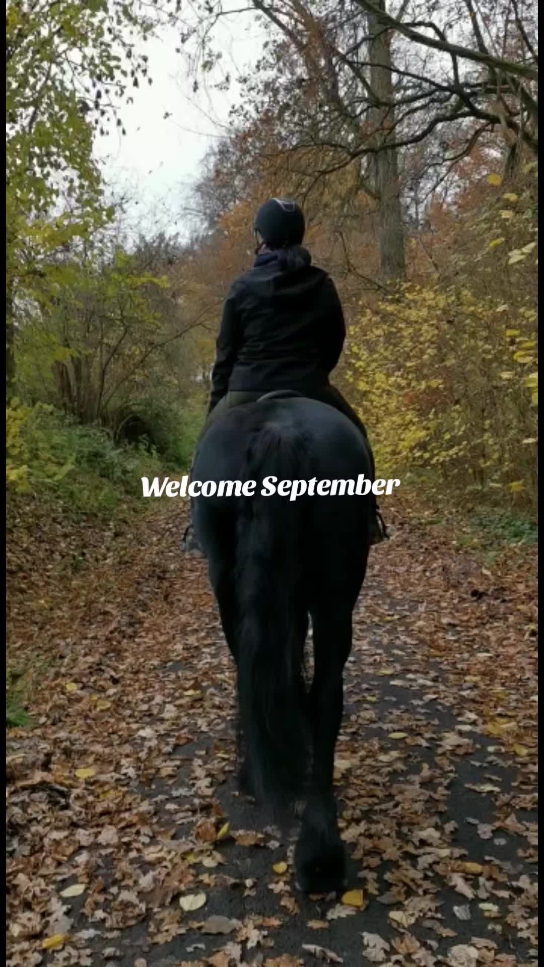 @Soñador