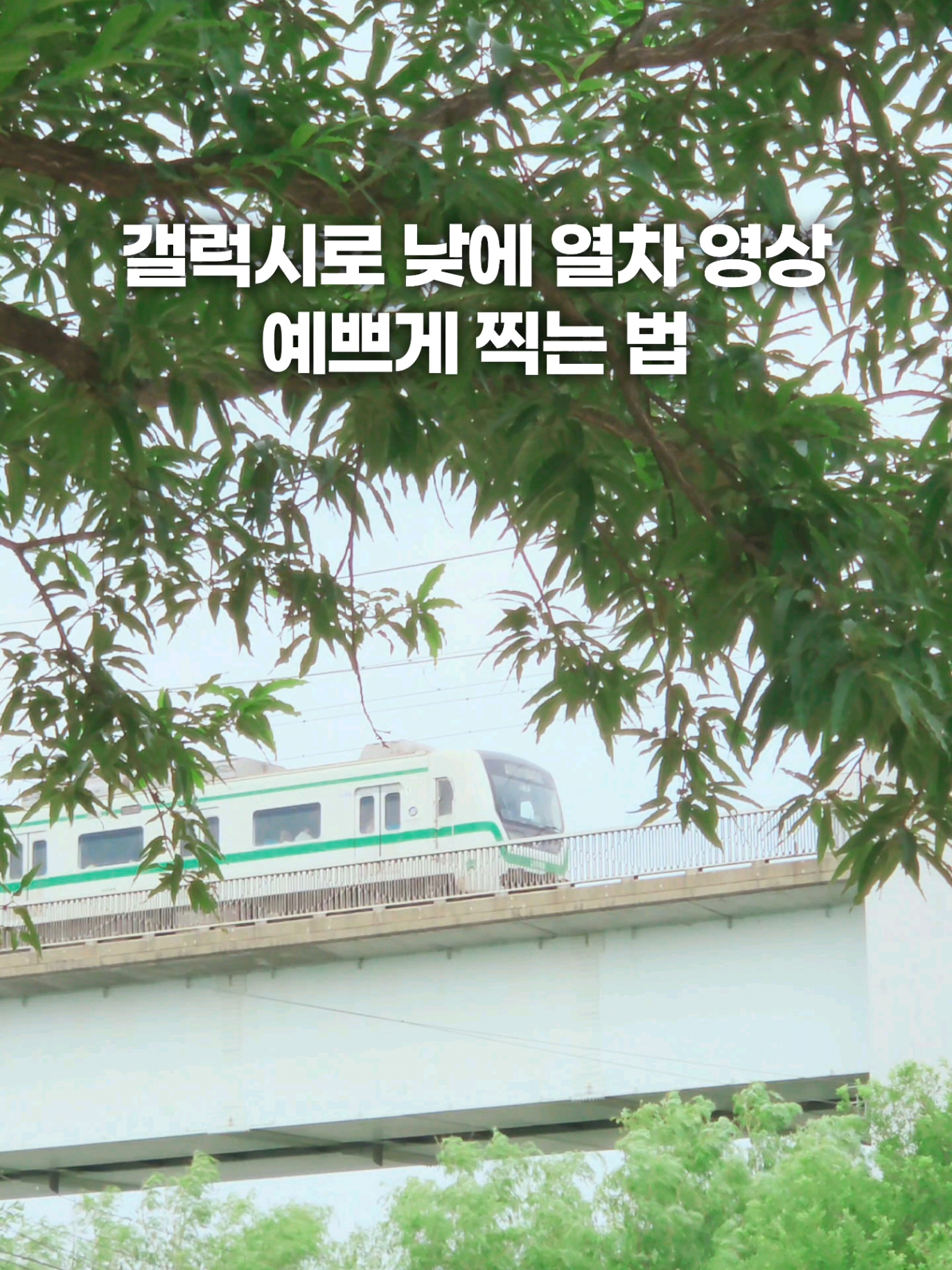 @주니웨어 주니