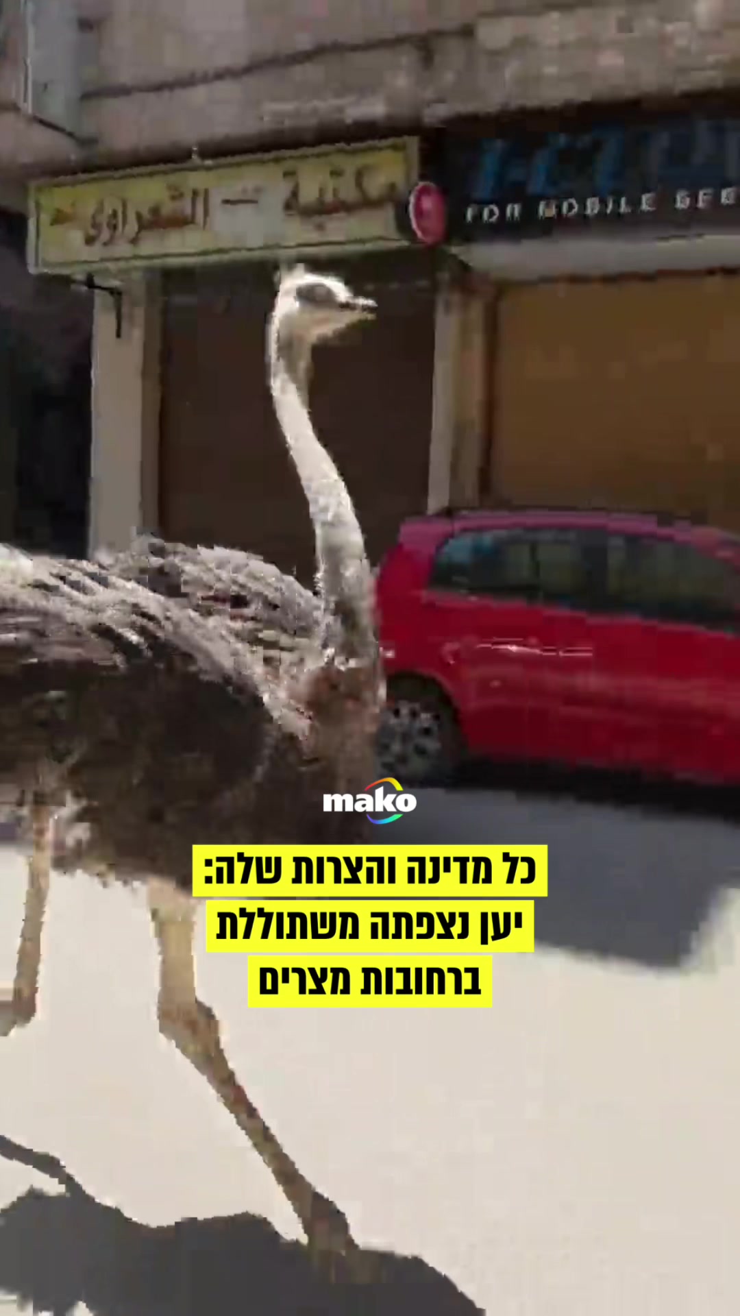 @mako
