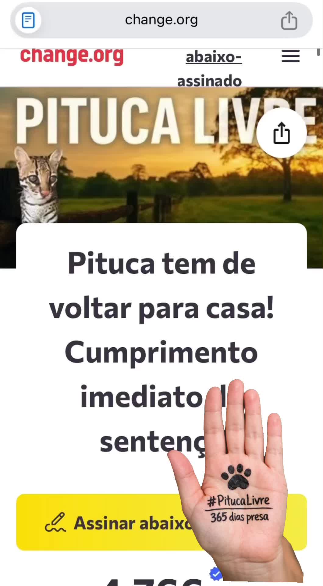 @Elisabete Silva