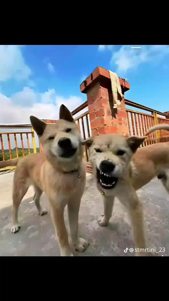 @๐๐ฑ๐๐ฉ๐๐