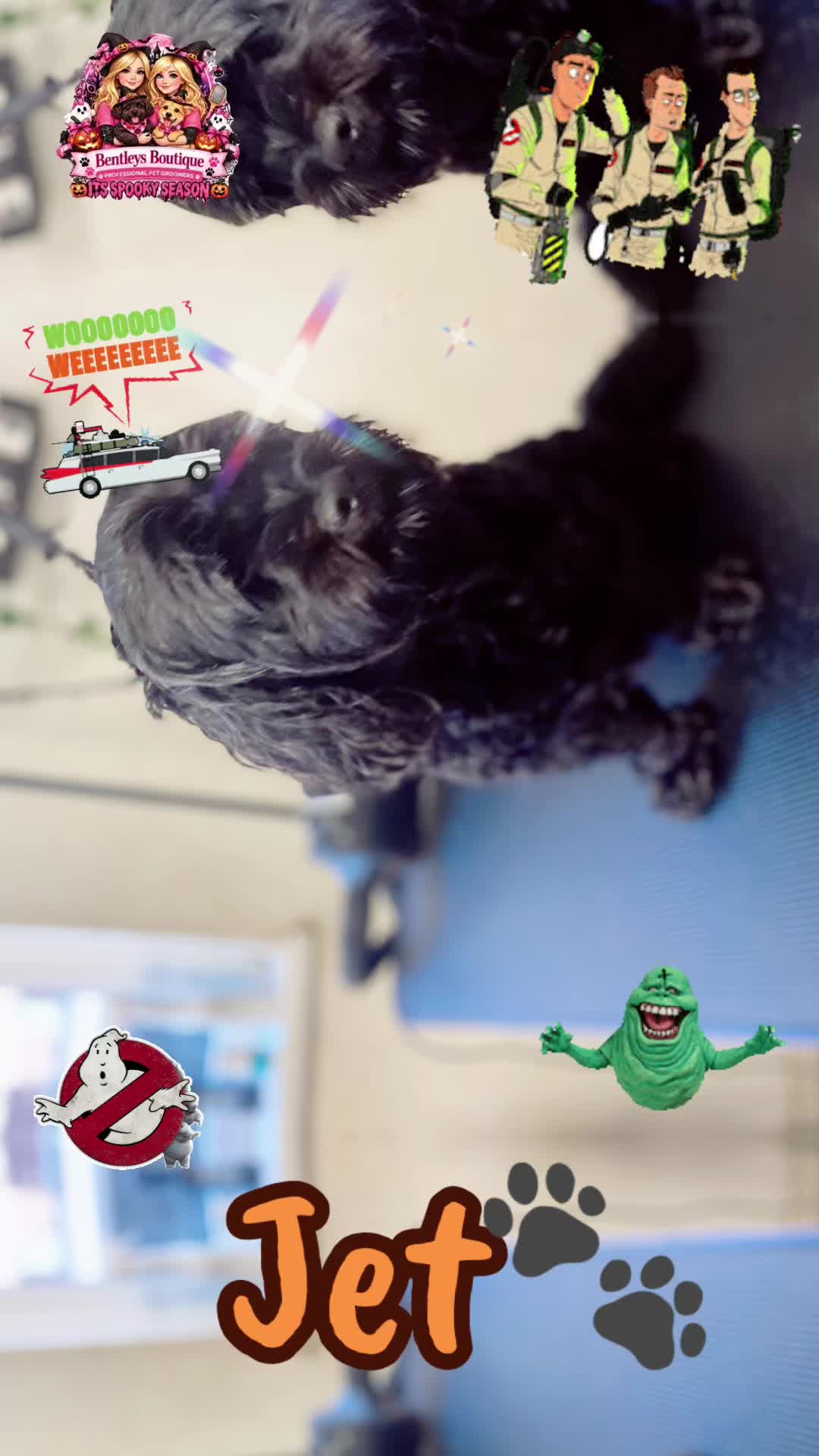 @Bentleys Boutique Pet Groomers