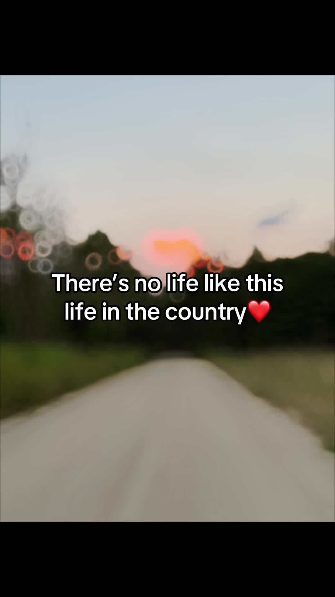 @🌼𝕄𝕒𝕣𝕪🌼