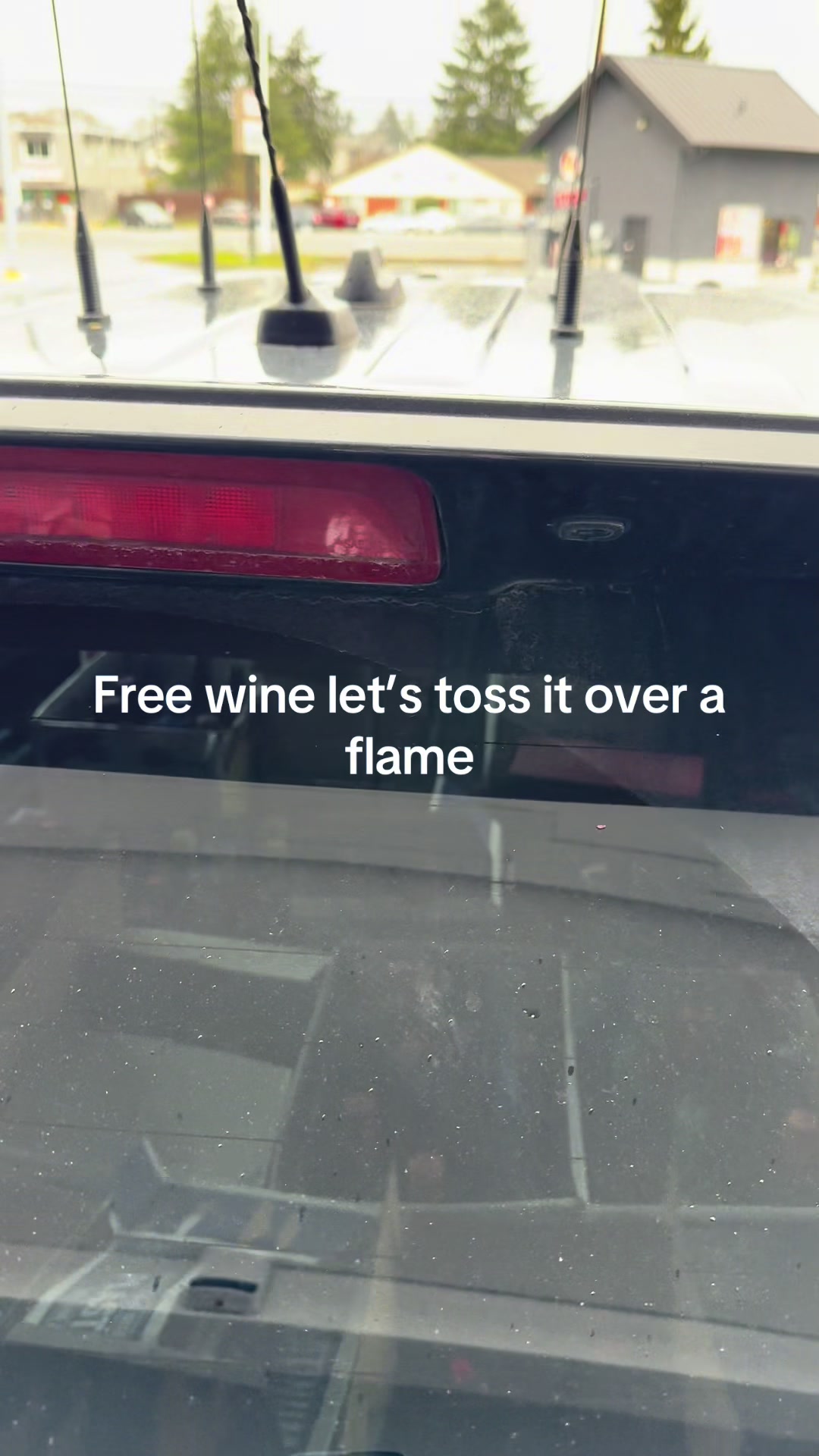 @Scooby_Dew_Shine