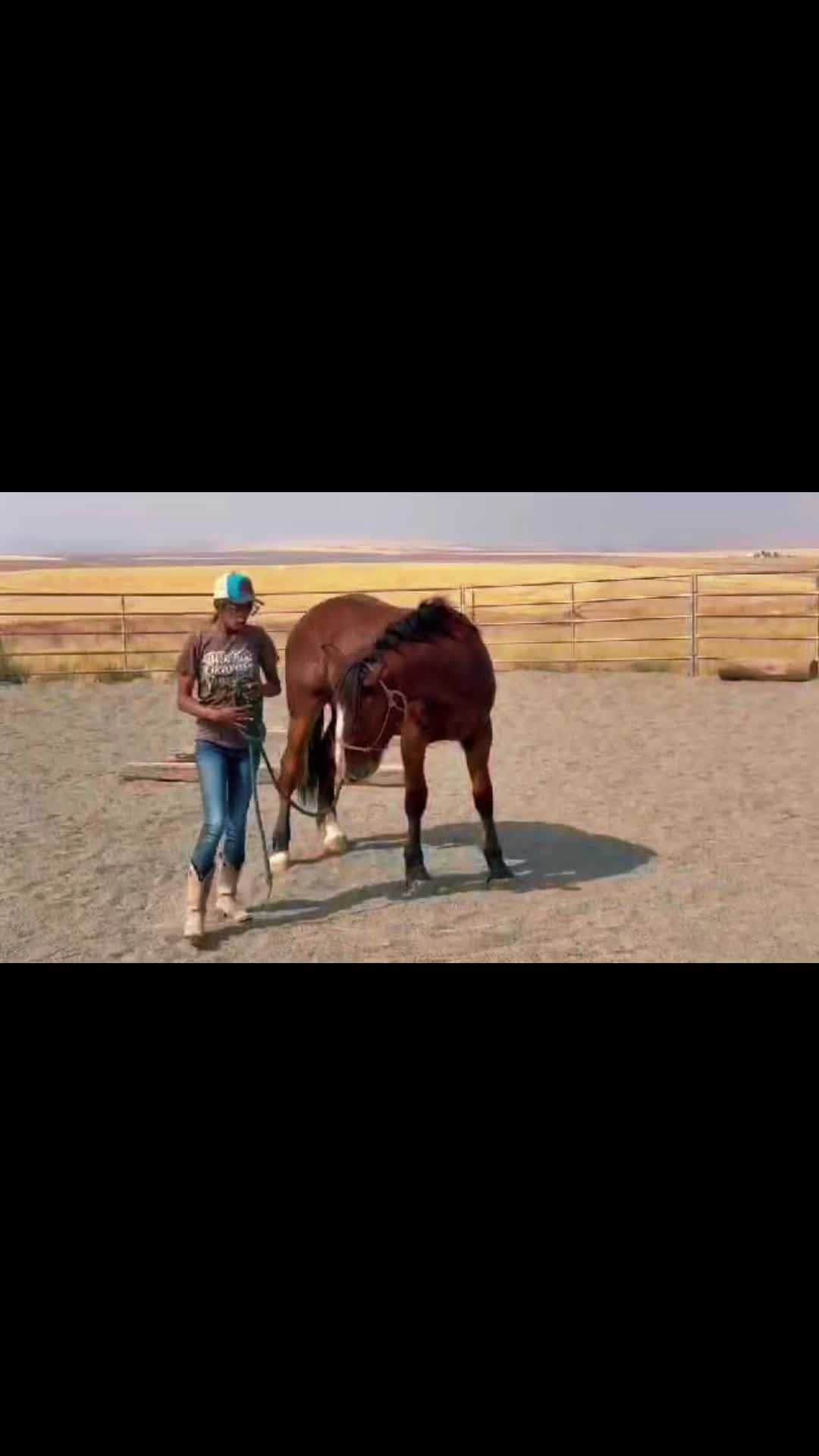 @Cowgirl Tuff Colt Training ❤️