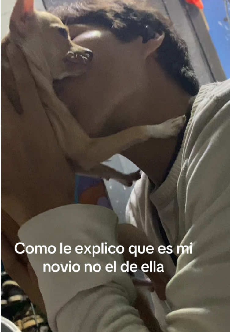 @roma.swagx