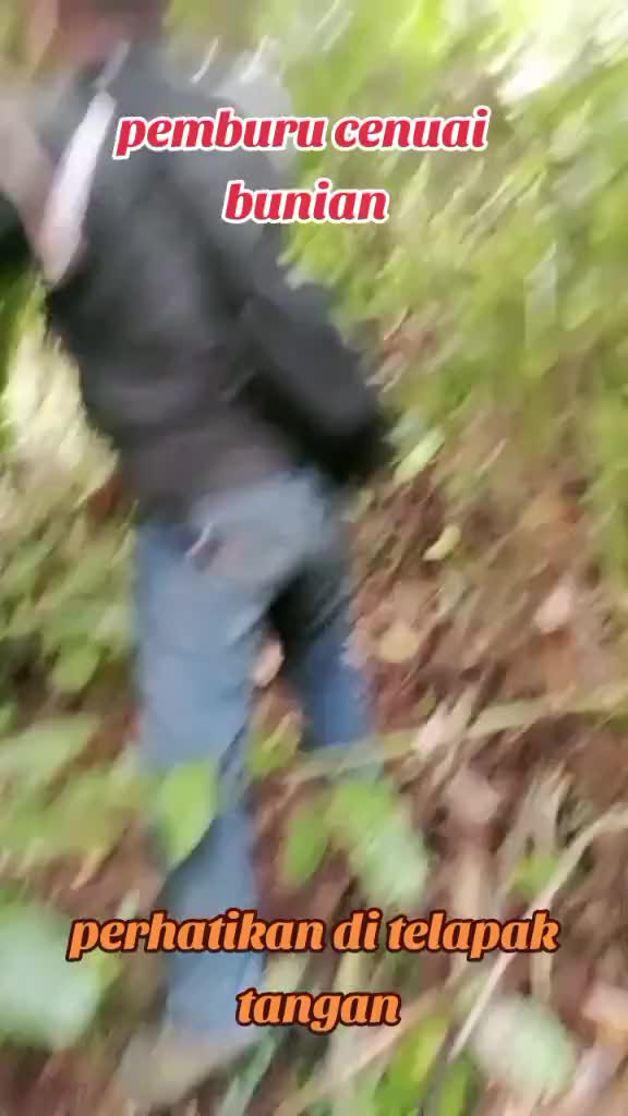 @عالم ميستري