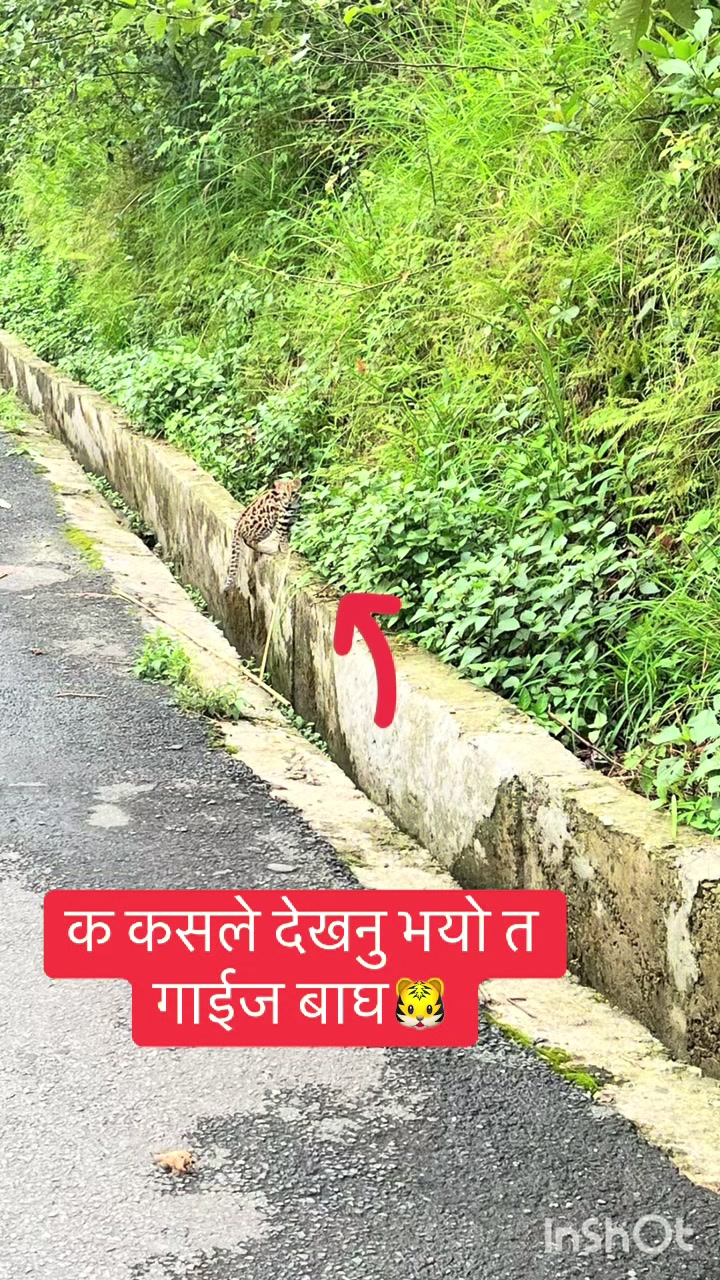 @के सि ji🫀❤️🫶