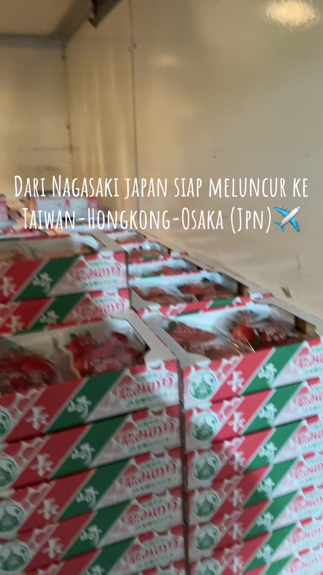 @Bupati Nagasaki 🎯