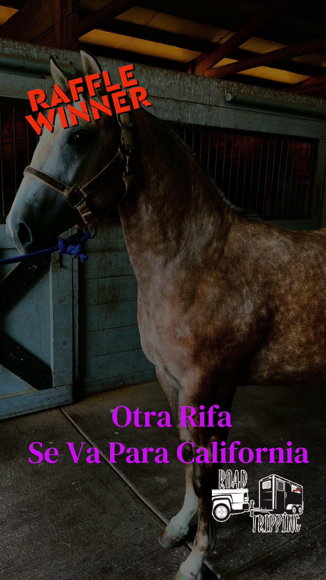 @R.L.P Quarter Horses
