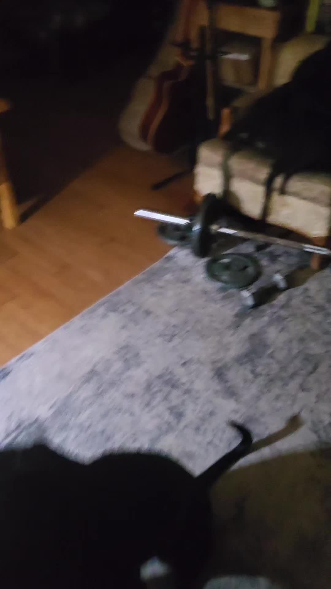 @alexanderofthewoods