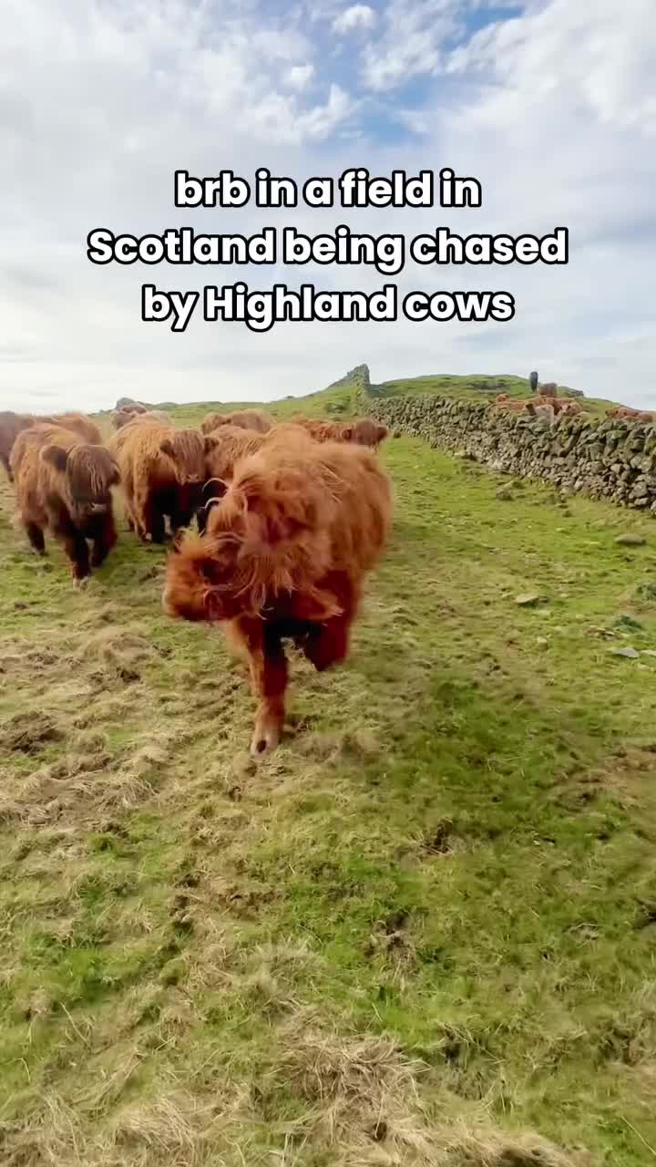 @VisitScotland