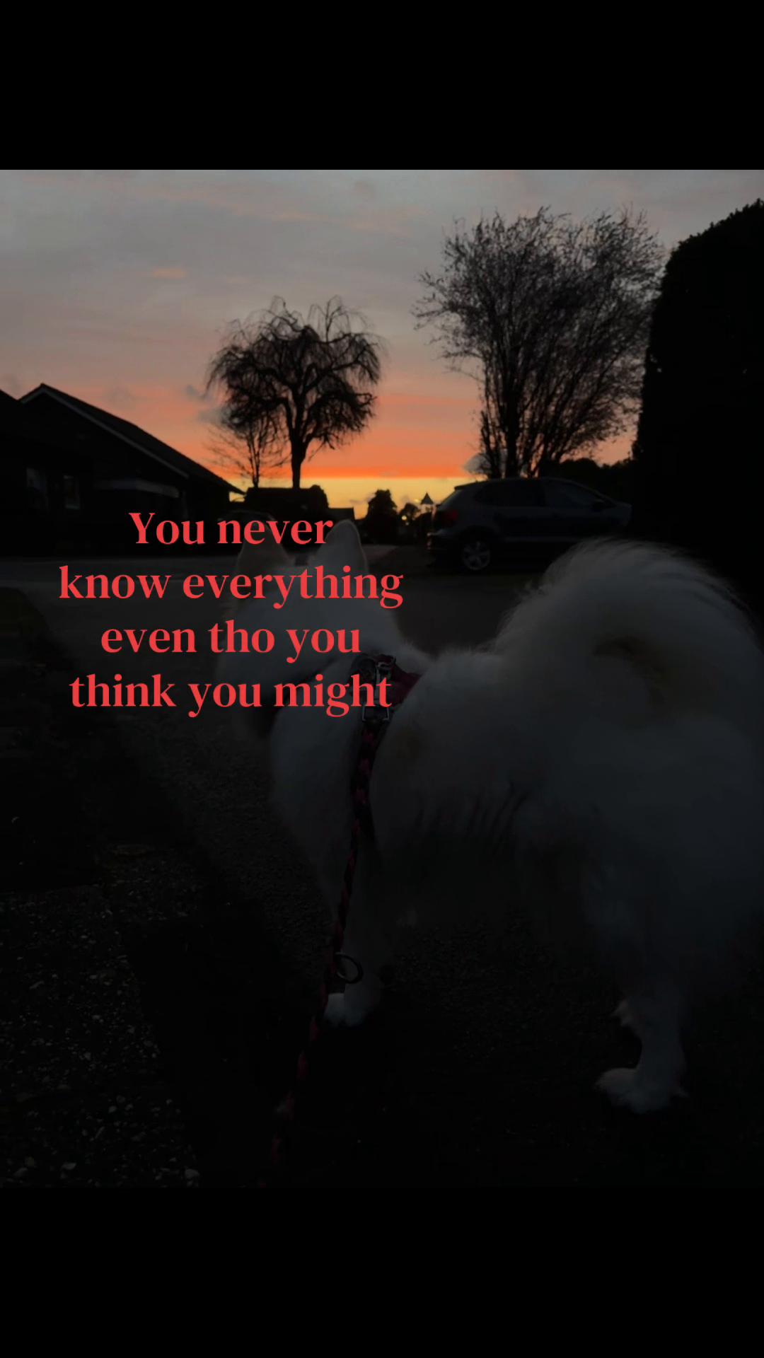 @𝕷𝖚𝖈𝖆