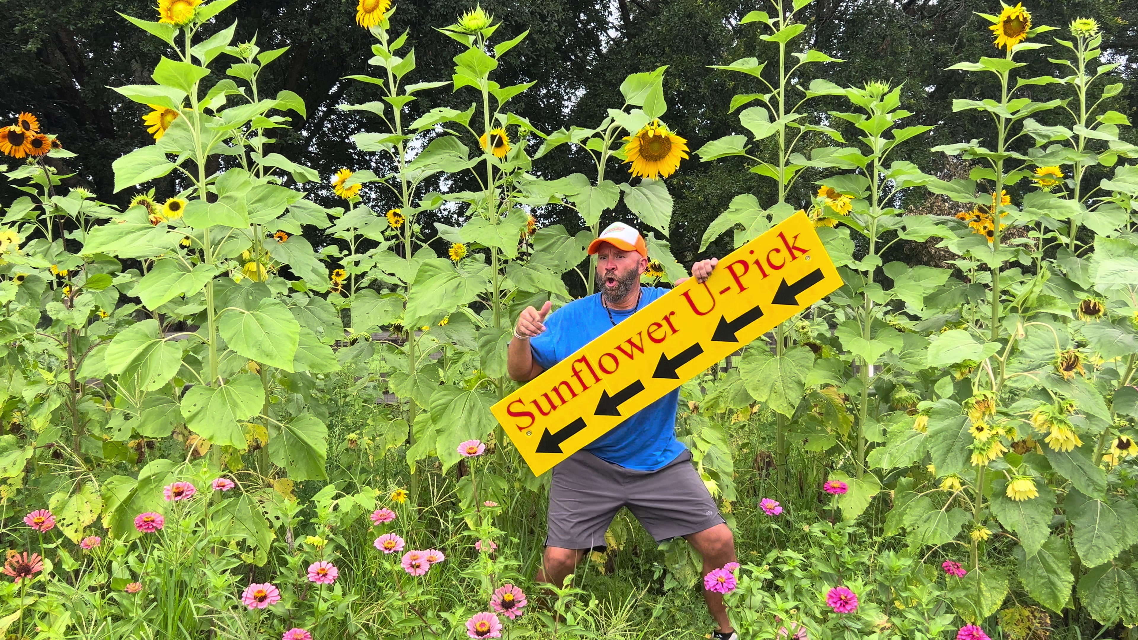 @Shawn at Stanley Pond Farm🌻