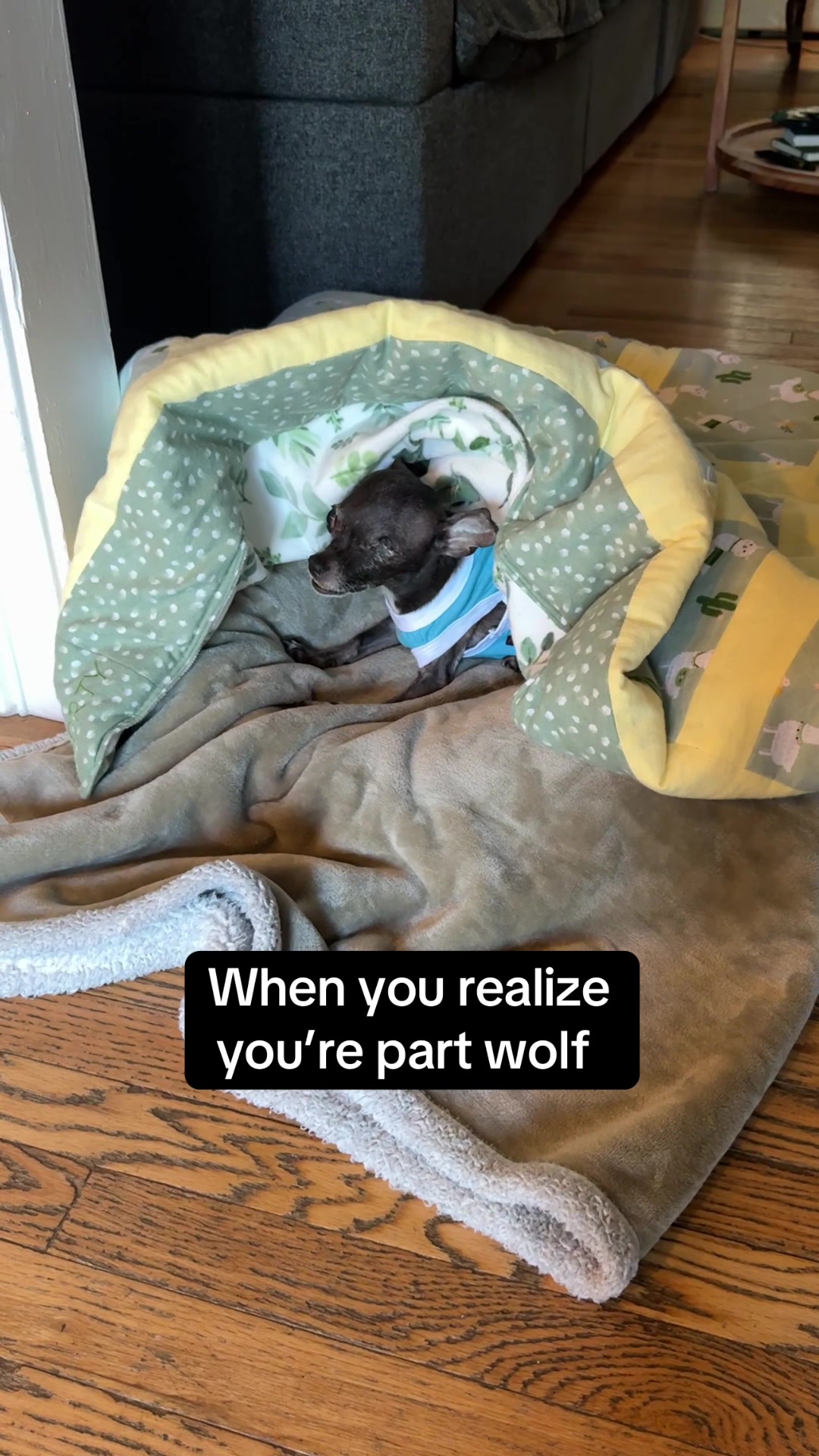 @MortyTheMisfit