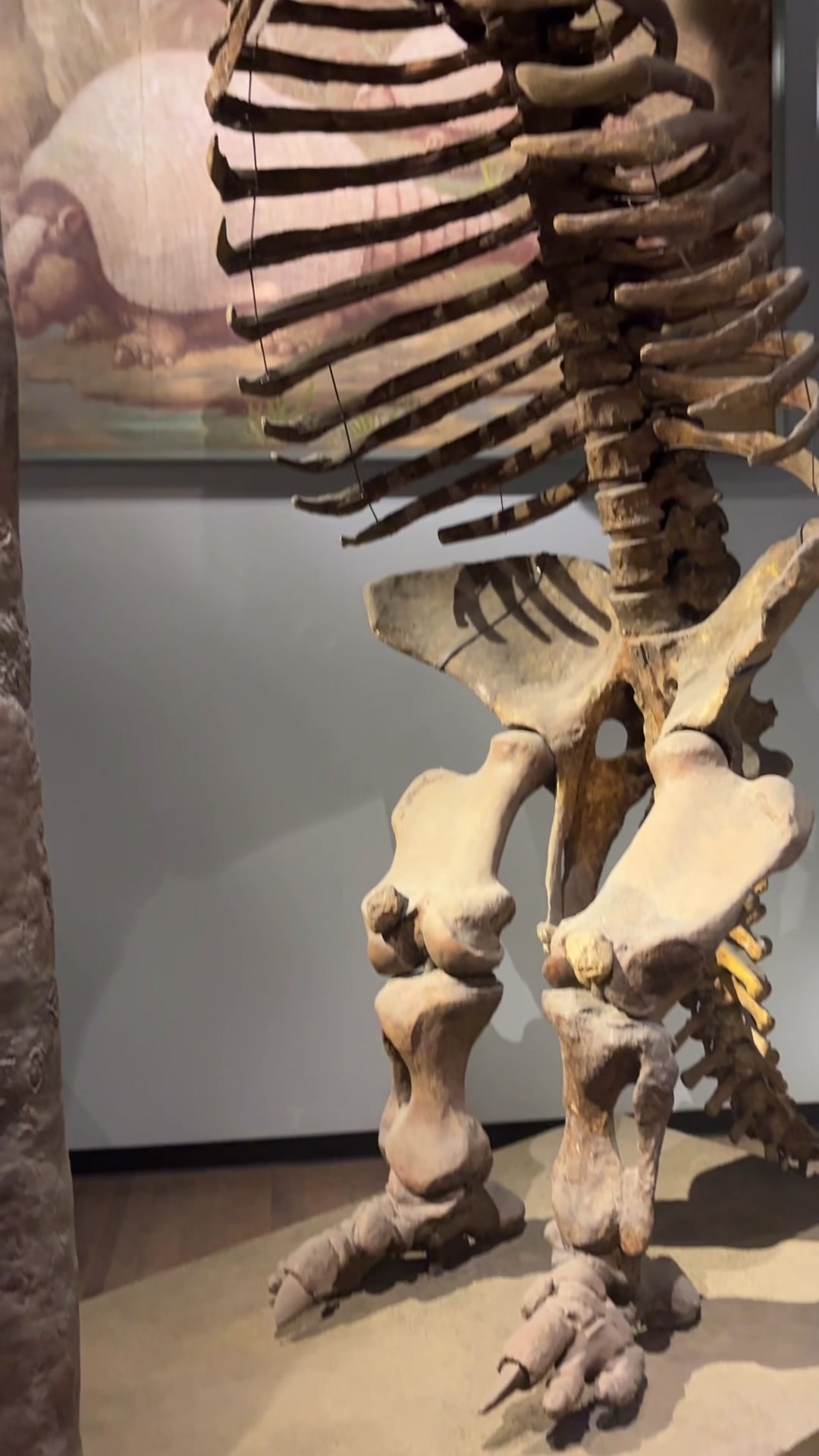 @Field Museum