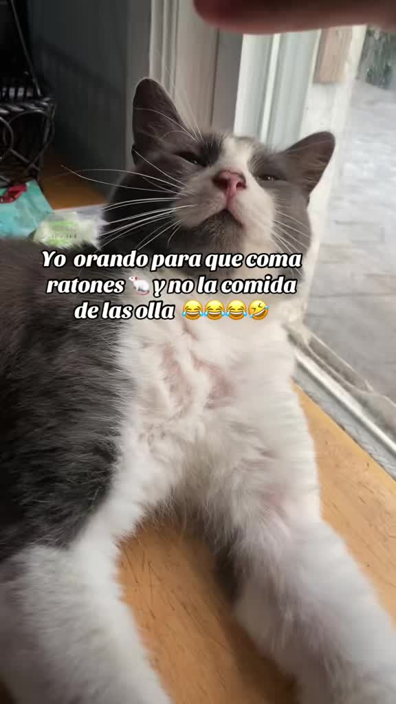 @๐Bonita_Girasol91