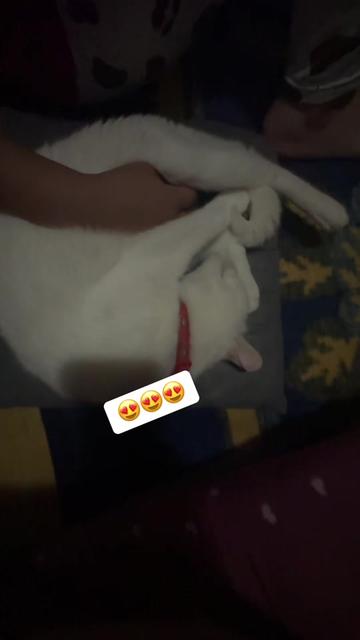 @Gülay cengiz