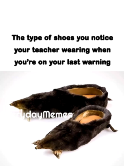 @EverydayMemes