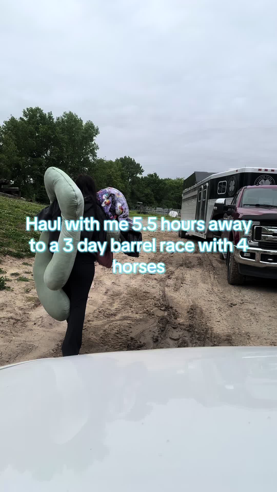 @Living Lucky Quarter Horses