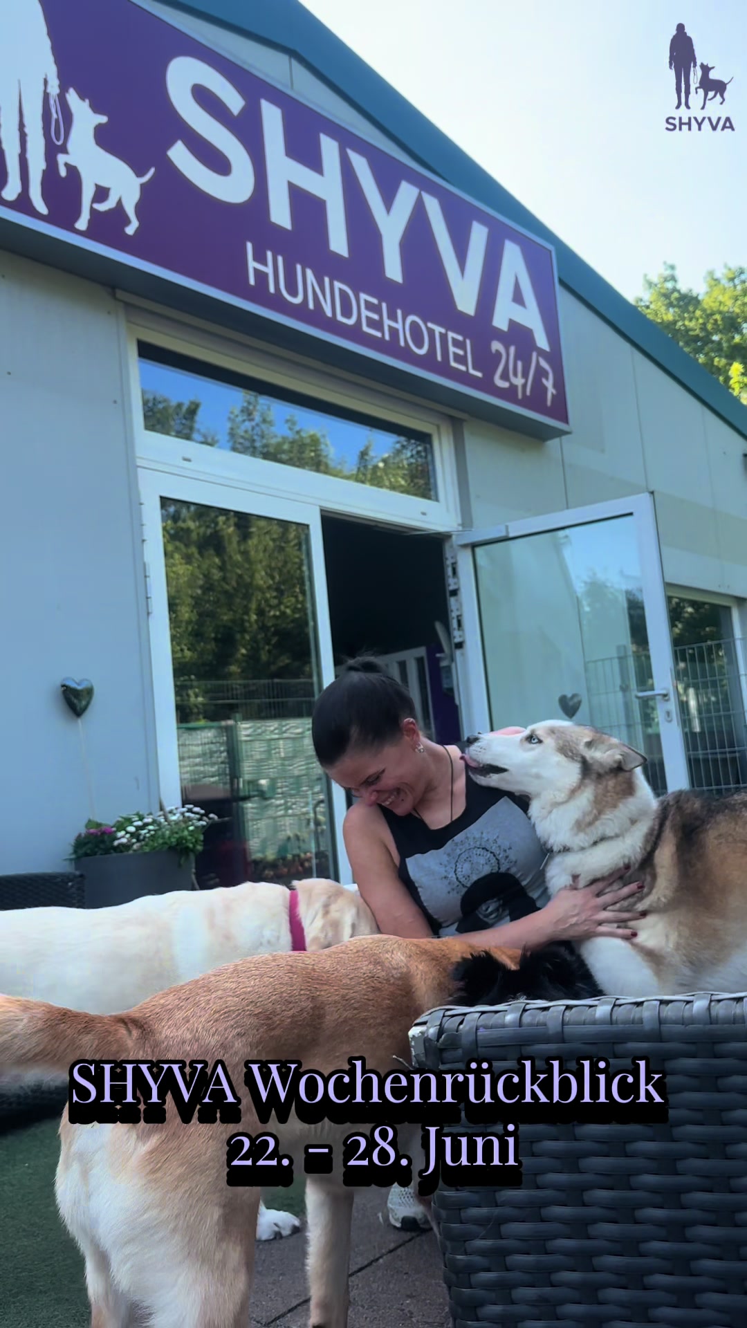 @Shyva Hundezentrum