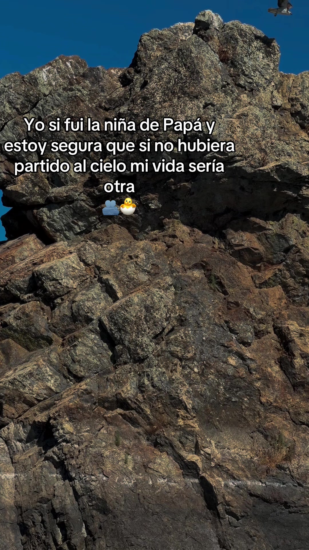 @aquihaydetodo14