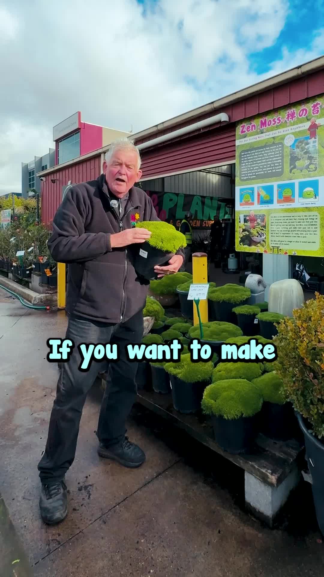@Hello Hello Plants Nursery